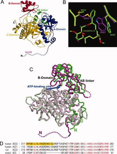 Details are in the caption following the image