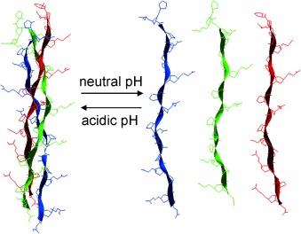 Investigation of pH-Dependent Collagen Triple-Helix Formation
