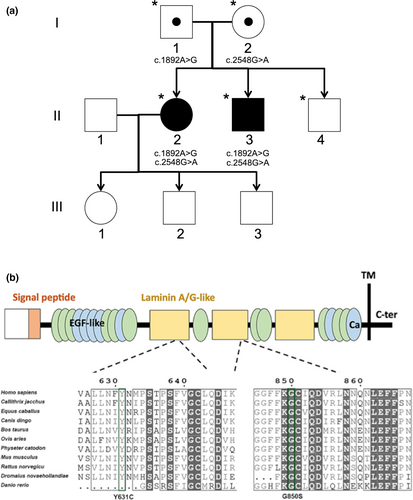 Details are in the caption following the image Details are in the caption following the image