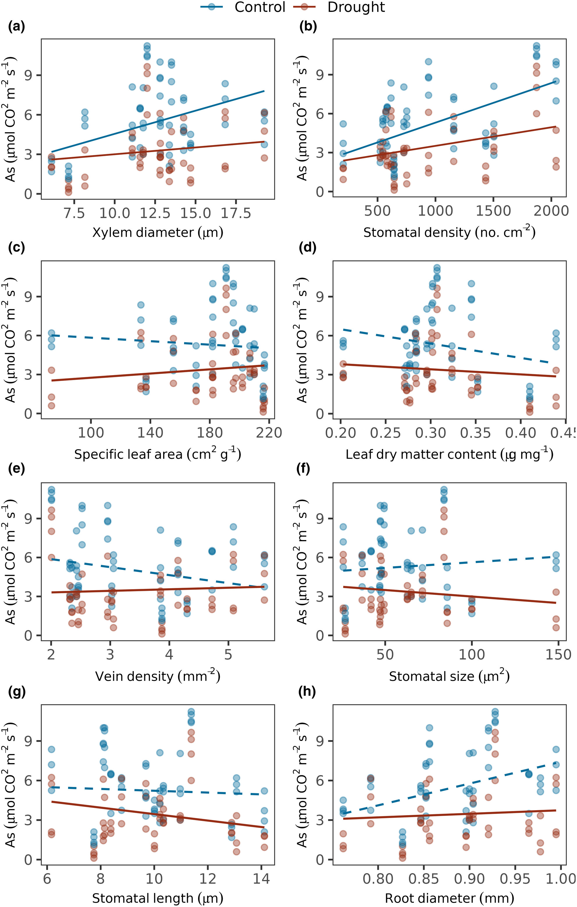 Anatomical traits explain drought response of seedlings from wet tropical forests