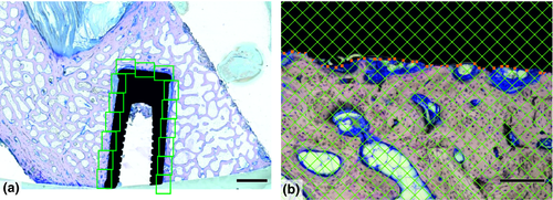 Details are in the caption following the image