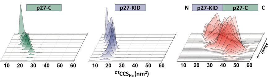 Ion Mobility Mass Spectrometry Measures the Conformational Landscape of p27 and its Domains and how this is Modulated upon Interaction with Cdk2/cyclin A