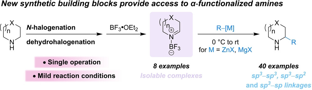 Alicyclic-Amine-Derived Imine-BF3 Complexes: Easy-to-Make Building Blocks for the Synthesis of Valuable α-Functionalized Azacycles