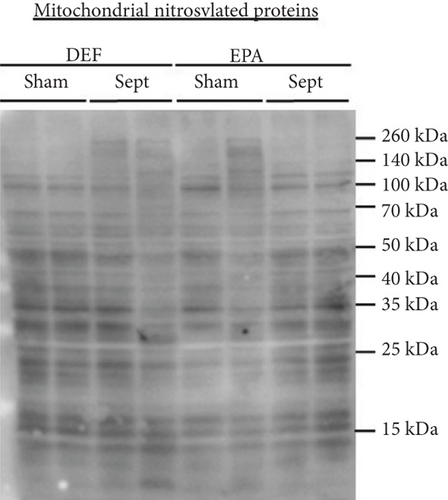 Details are in the caption following the image
