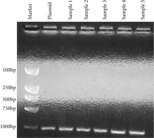 Details are in the caption following the image