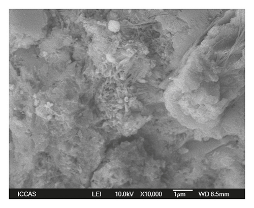 Details are in the caption following the image