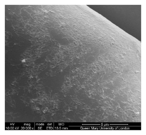 Details are in the caption following the image