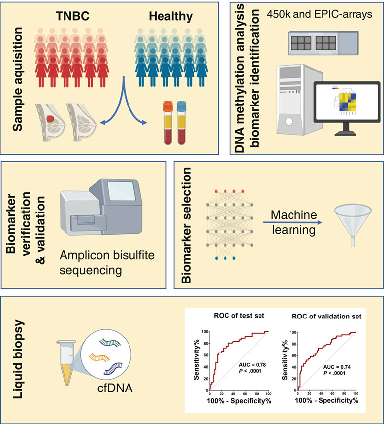 DNA methylation biomarkers for noninvasive detection of triple-negative breast cancer using liquid biopsy