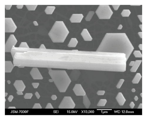 Details are in the caption following the image