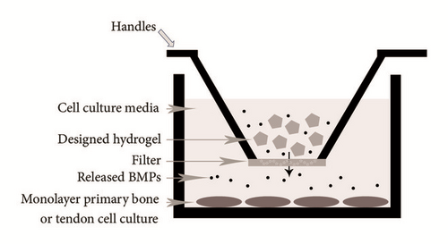 Details are in the caption following the image