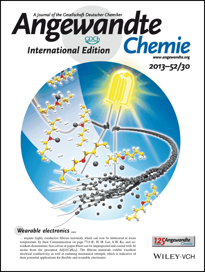 Back Cover: Highly Conductive Aluminum Textile and Paper for Flexible and Wearable Electronics (Angew. Chem. Int. Ed. 30/2013)