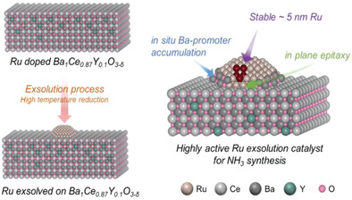 Exsolution of Ru Nanoparticles on BaCe0.9Y0.1O3-δ Modifying Geometry and Electronic Structure of Ru for Ammonia Synthesis Reaction Under Mild Conditions