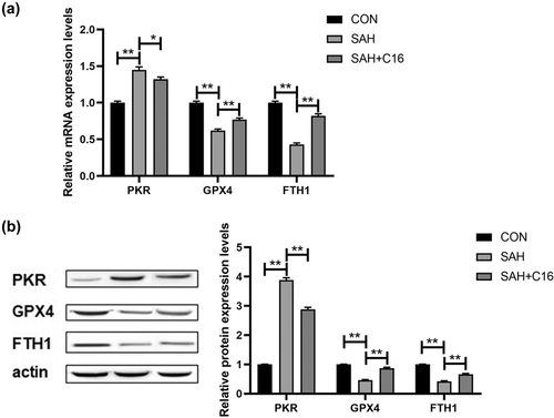 Details are in the caption following the image Details are in the caption following the image
