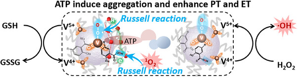 ATP-Assisted Electron and Proton Transfer Boosting Redox Metabolism-Induced Ferroptosis and Apoptosis for Cancer Therapy