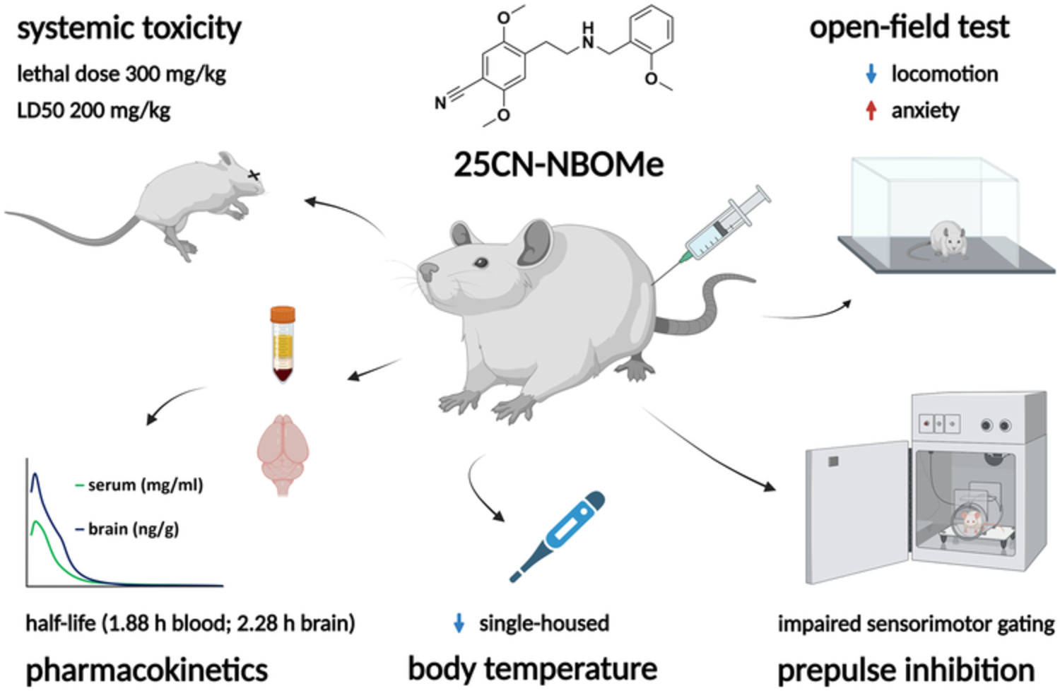 Pharmacokinetics, systemic toxicity, thermoregulation and acute behavioural effects of 25CN-NBOMe
