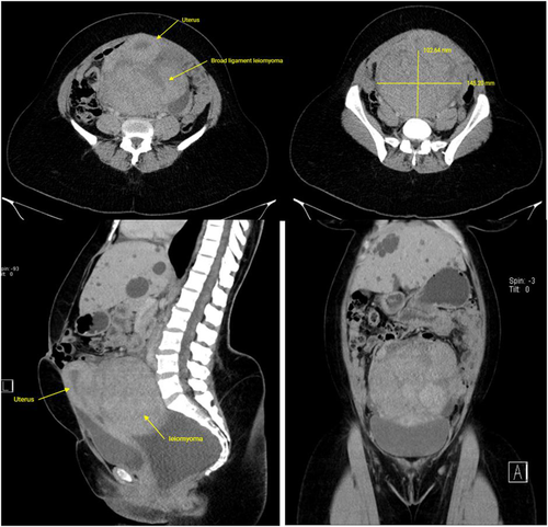 Details are in the caption following the image Details are in the caption following the image
