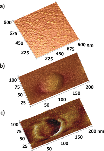 Details are in the caption following the image Details are in the caption following the image