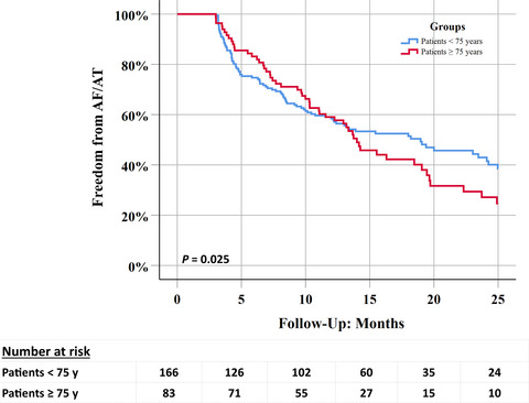 Efficacy and safety of the second-generation cryoballoon ablation for the treatment of persistent atrial fibrillation in elderly patients