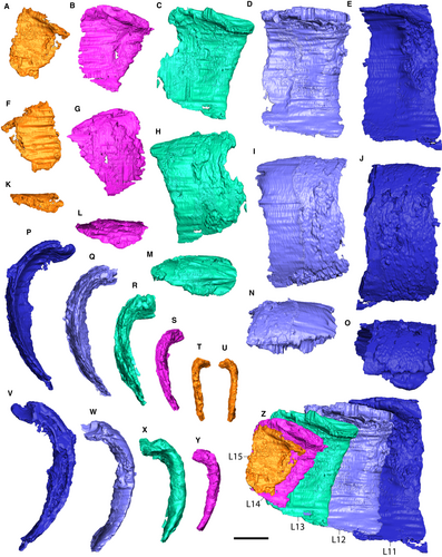 Details are in the caption following the image