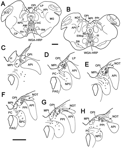 Details are in the caption following the image Details are in the caption following the image