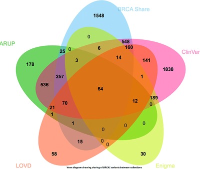 BRCA Share: A Collection of Clinical BRCA Gene Variants