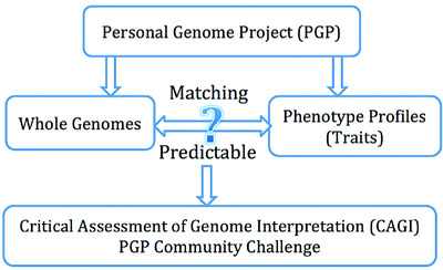 Matching phenotypes to whole genomes: Lessons learned from four iterations of the personal genome project community challenges