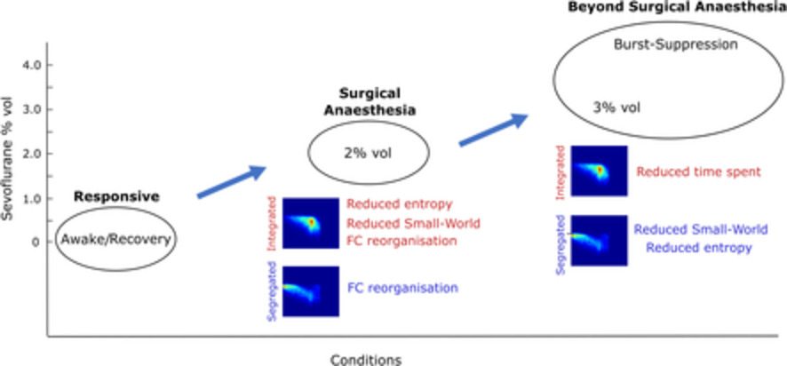 Brain network integration dynamics are associated with loss and recovery of consciousness induced by sevoflurane