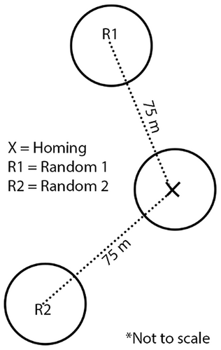 Details are in the caption following the image Details are in the caption following the image