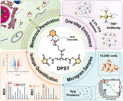 One-Step Enrichment and Quantitative Analysis of In Vivo Protein Complexes via Dimethylpiperidine Cross-Linker DPST