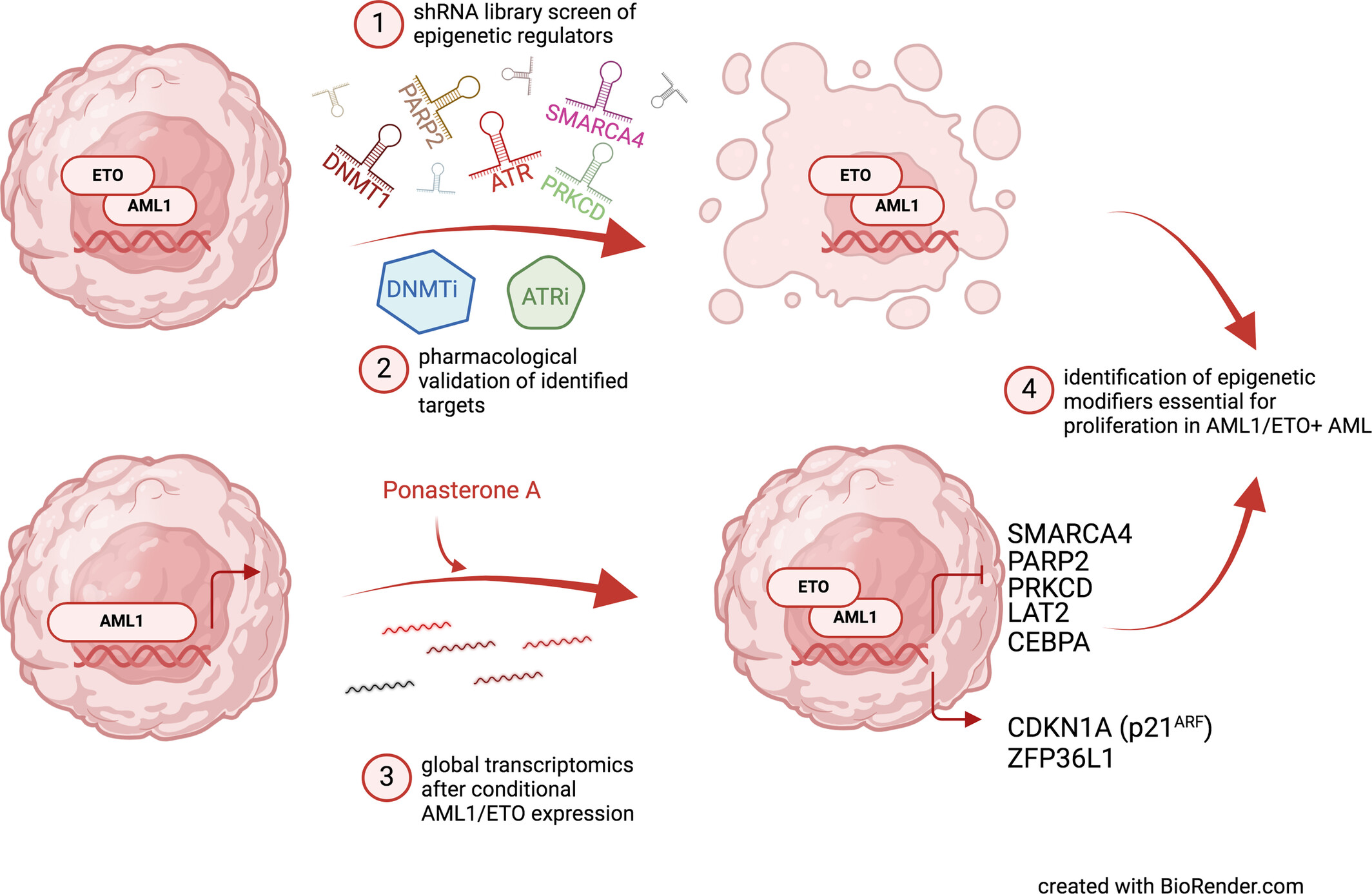 Identification of epigenetic modifiers essential for growth and survival of AML1/ETO-positive leukemia