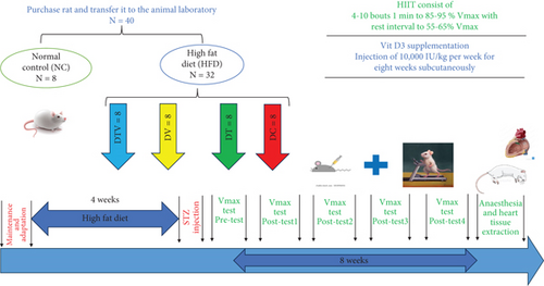 Details are in the caption following the image Details are in the caption following the image