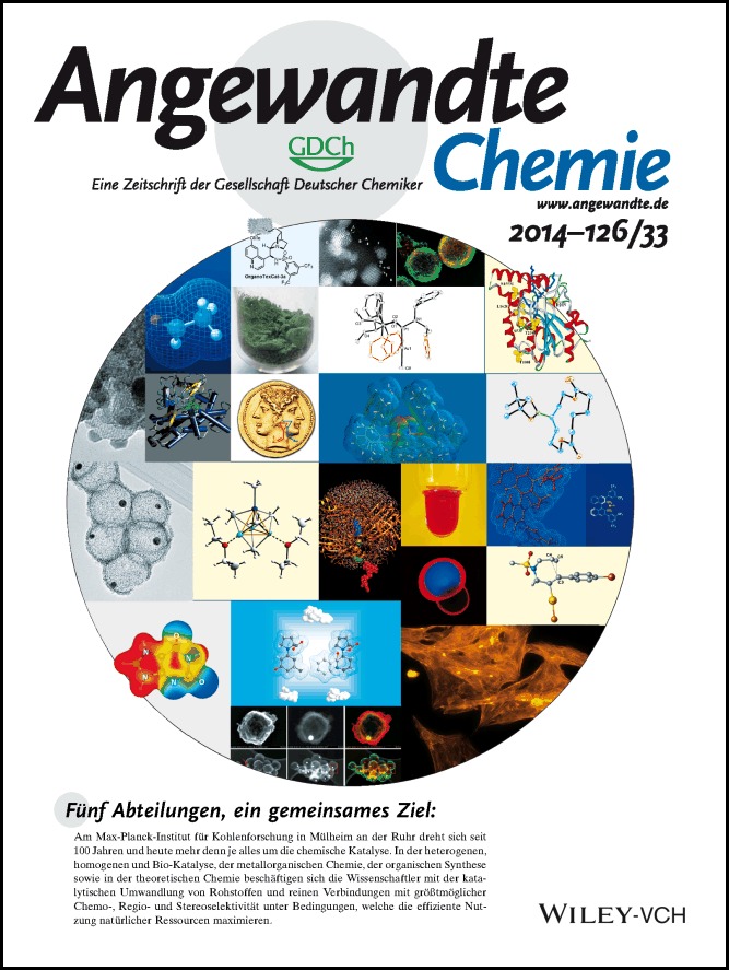 Rücktitelbild: (Angew. Chem. 33/2014)
