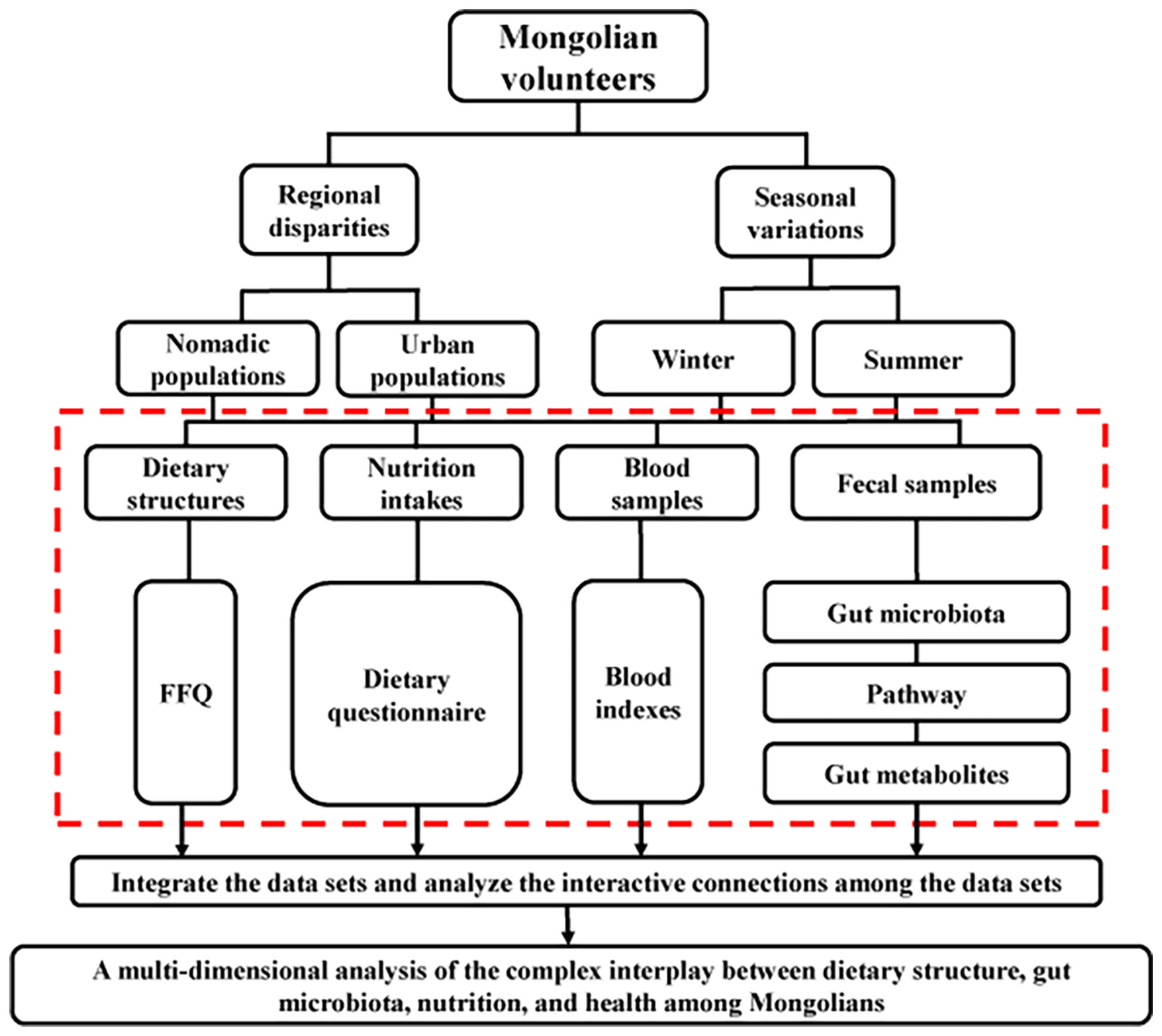 Dietary Nutrition, Gut Microbiota, and Health Status Across Geographically Diverse Populations in Mongolia: A Cross-Sectional Study