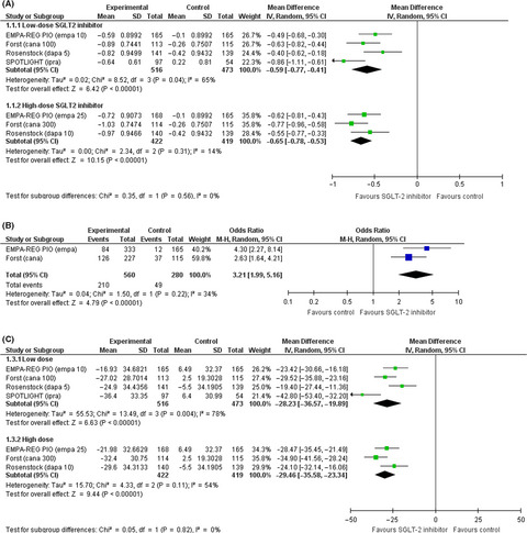 Sodium-glucose cotransporter 2 inhibitor plus pioglitazone vs pioglitazone alone in patients with diabetes mellitus: A systematic review and meta-analysis of randomized controlled trials