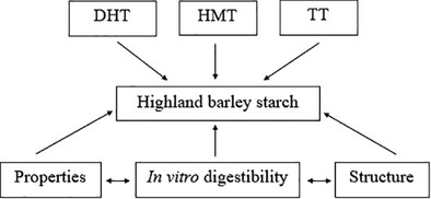 Insights Into the Digestibility, Properties, and Structure of Highland Barley Starch Using Dry Heat Treatment, Heat Moisture Treatment, and Annealing Treatment