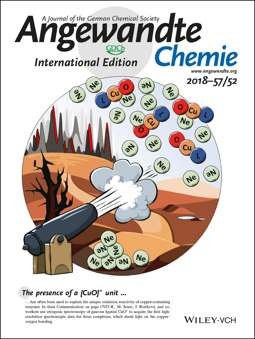 Back Cover: Experimentally Calibrated Analysis of the Electronic Structure of CuO+: Implications for Reactivity (Angew. Chem. Int. Ed. 52/2018) Volume 57 Issue 52, 2018