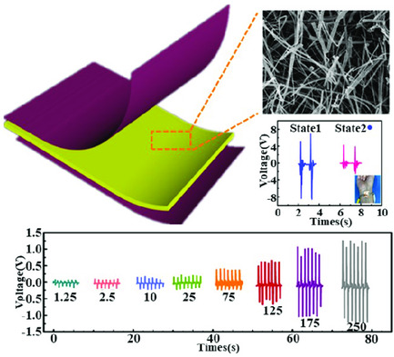Flexible Piezoelectric Nanofibers/Polydimethylsiloxane-Based Pressure Sensor for Self-Powered Human Motion Monitoring