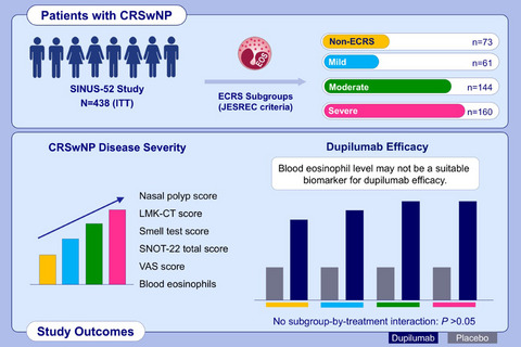 Dupilumab efficacy in chronic rhinosinusitis with nasal polyps from SINUS-52 is unaffected by eosinophilic status