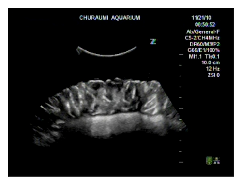 Details are in the caption following the image
