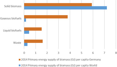 One Century of Bioenergy in Germany: Wildcard and Advanced Technology
