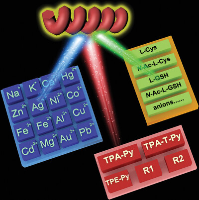 Unique three-component co-assembly among AIEgen, L-GSH, and Ag+ for the formation of helical nanowires Issue 2, 2023