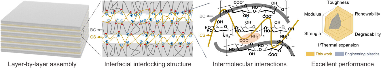 Simultaneously Strengthening and Toughening All-Natural Structural Materials via 3D Nanofiber Network Interfacial Design