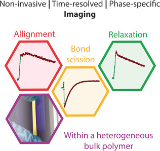 Tracking Local Mechanical Impact in Heterogeneous Polymers with Direct Optical Imaging