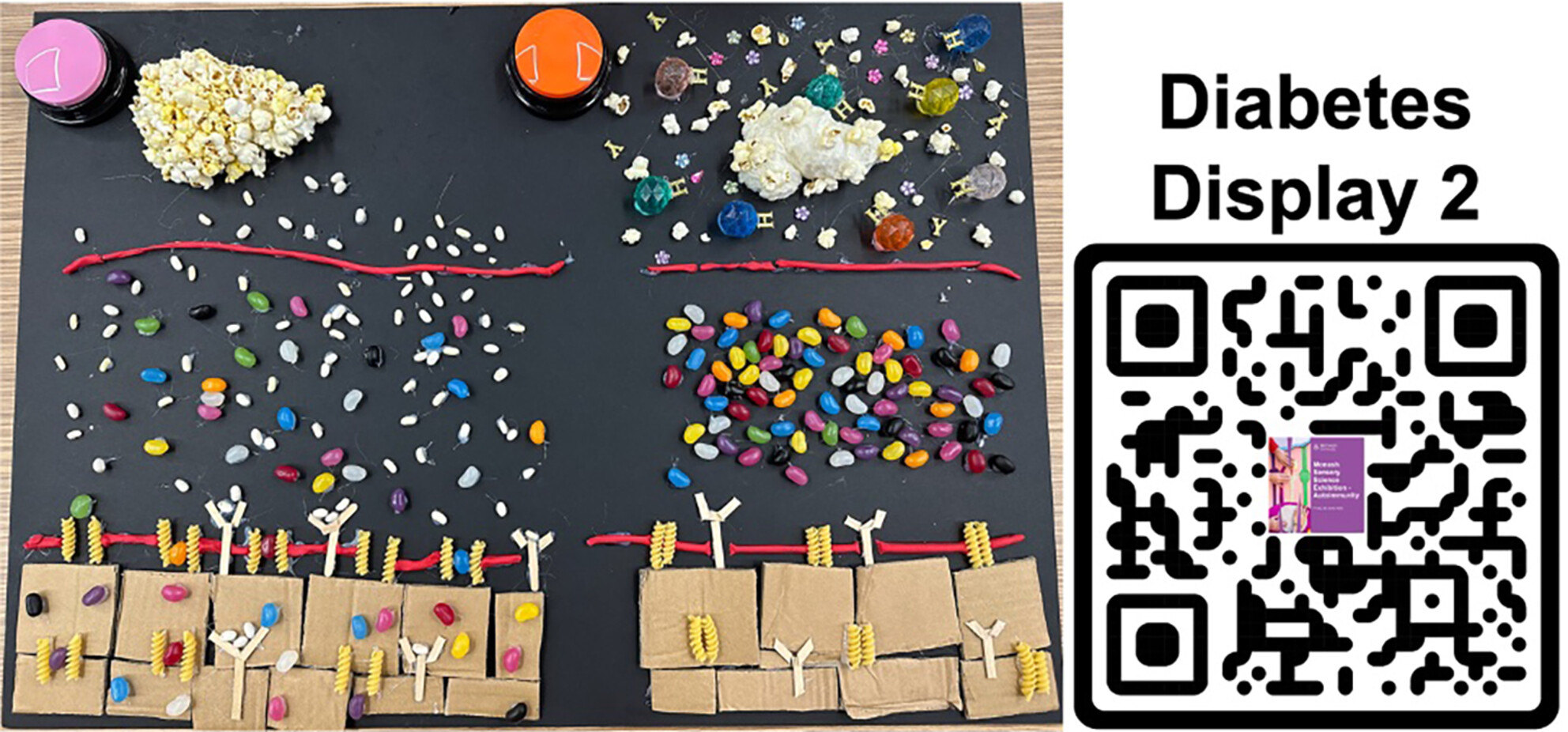 Conveying the pathogenesis of type 1 diabetes to the blind, low-vision and diverse needs communities through sensory stimulation
