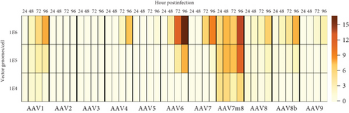 Details are in the caption following the image Details are in the caption following the image
