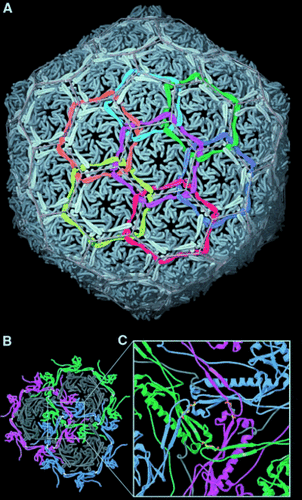 Details are in the caption following the image