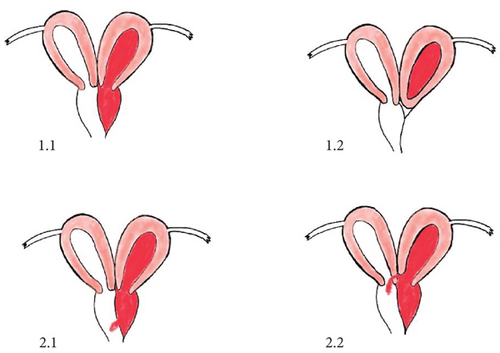 Details are in the caption following the image Details are in the caption following the image