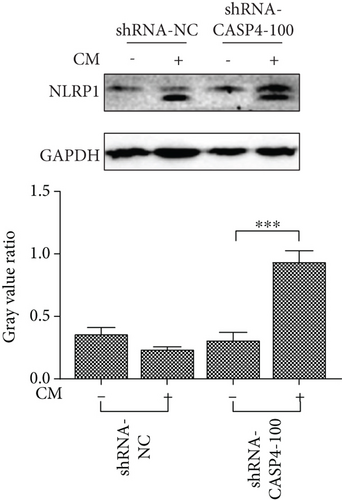 Details are in the caption following the image
