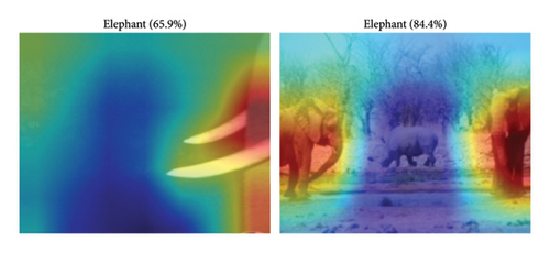 Details are in the caption following the image Details are in the caption following the image