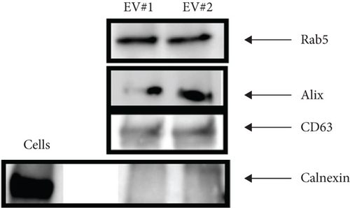 Details are in the caption following the image